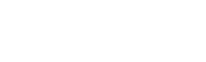 web logo